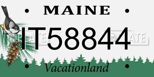 IT58844 Maine License Plate