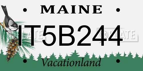 IT5B244 Maine License Plate