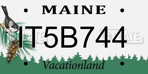 IT5B744 Maine License Plate