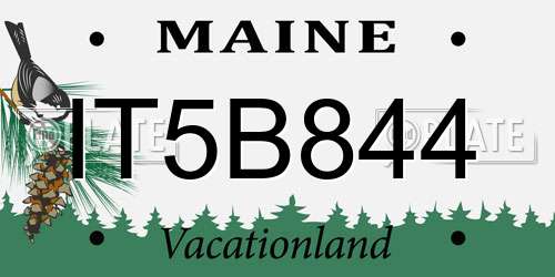 IT5B844 Maine License Plate