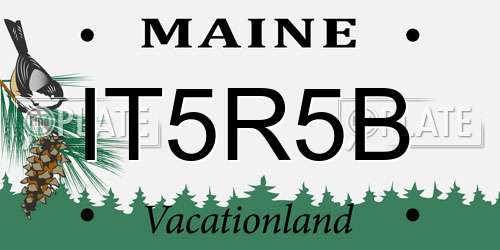 IT5R5B Maine License Plate