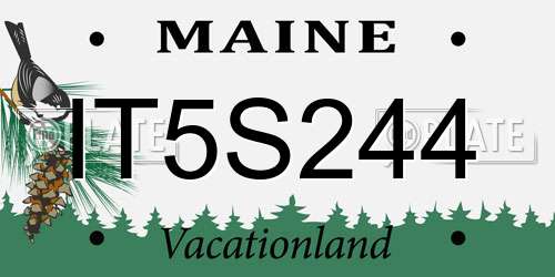IT5S244 Maine License Plate