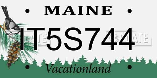 IT5S744 Maine License Plate