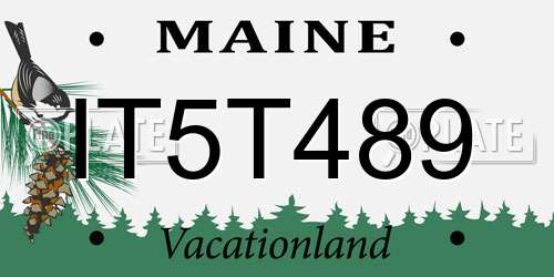 IT5T489 Maine License Plate