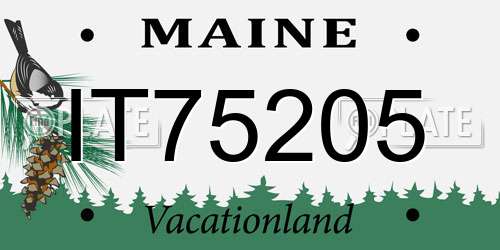 IT75205 Maine License Plate