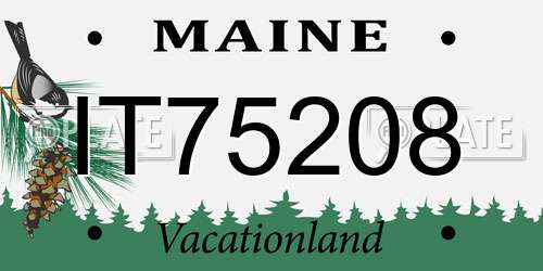 IT75208 Maine License Plate