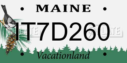 IT7D260 Maine License Plate