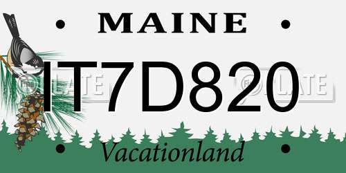 IT7D820 Maine License Plate