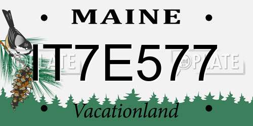 IT7E577 Maine License Plate