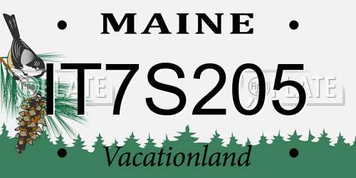 IT7S205 Maine License Plate