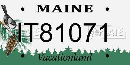 IT81071 Maine License Plate