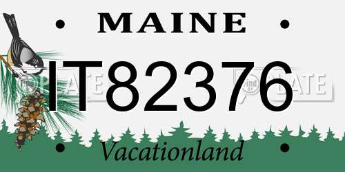 IT82376 Maine License Plate