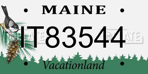 IT83544 Maine License Plate