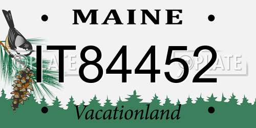 IT84452 Maine License Plate