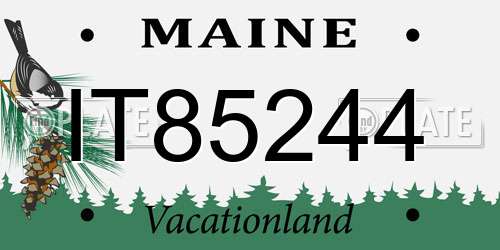 IT85244 Maine License Plate