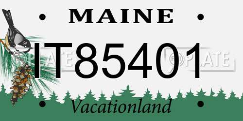 IT85401 Maine License Plate