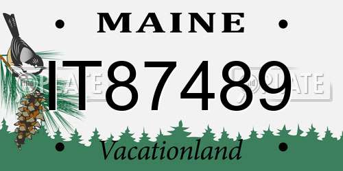 IT87489 Maine License Plate