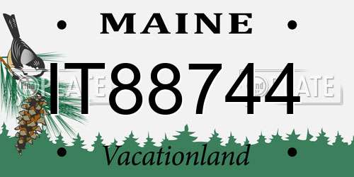 IT88744 Maine License Plate