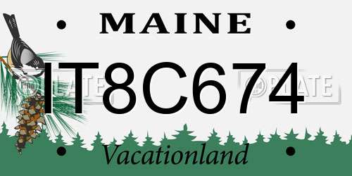 IT8C674 Maine License Plate