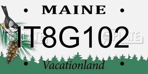 IT8G102 Maine License Plate