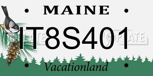 IT8S401 Maine License Plate