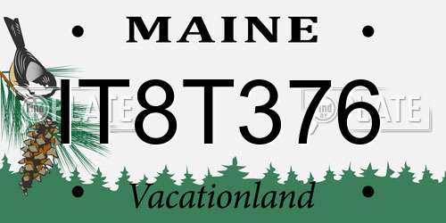 IT8T376 Maine License Plate
