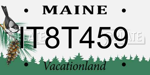 IT8T459 Maine License Plate