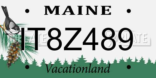 IT8Z489 Maine License Plate