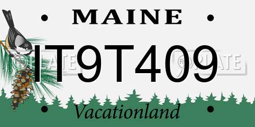 IT9T409 Maine License Plate