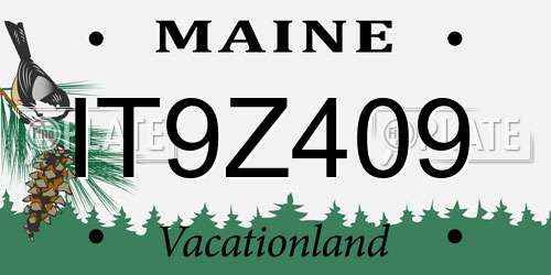IT9Z409 Maine License Plate