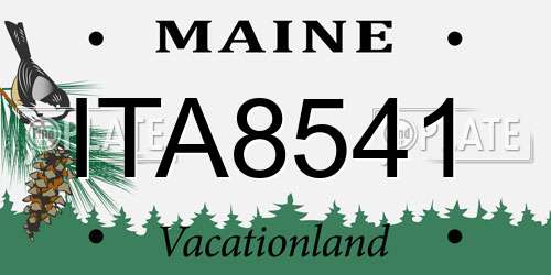 ITA8541 Maine License Plate