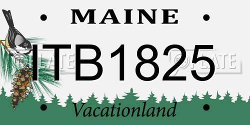 ITB1825 Maine License Plate