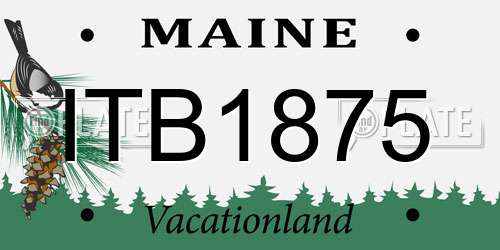 ITB1875 Maine License Plate