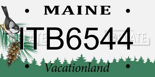 ITB6544 Maine License Plate