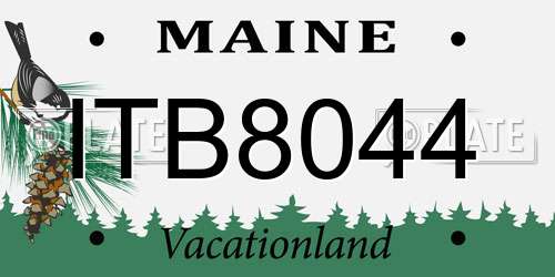 ITB8044 Maine License Plate
