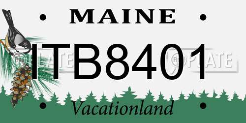 ITB8401 Maine License Plate