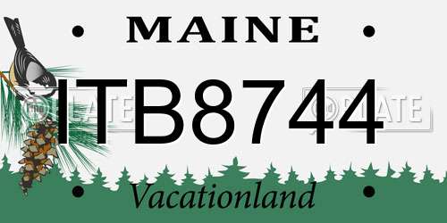 ITB8744 Maine License Plate