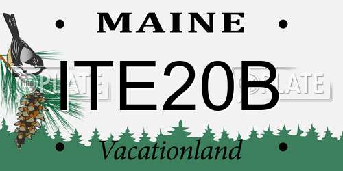 ITE20B Maine License Plate