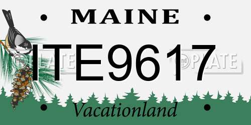 ITE9617 Maine License Plate