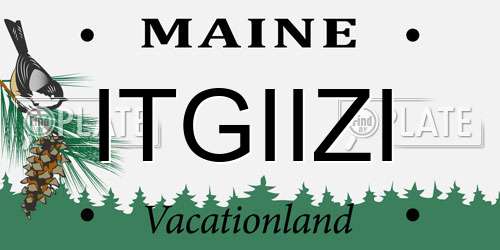 ITGIIZI Maine License Plate