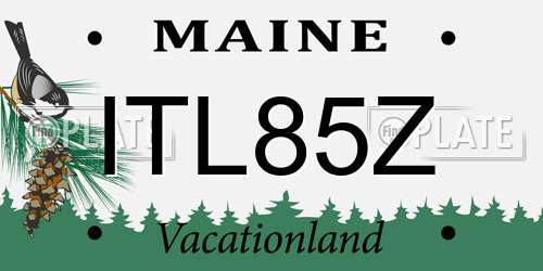 ITL85Z Maine License Plate