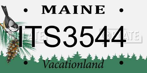 ITS3544 Maine License Plate