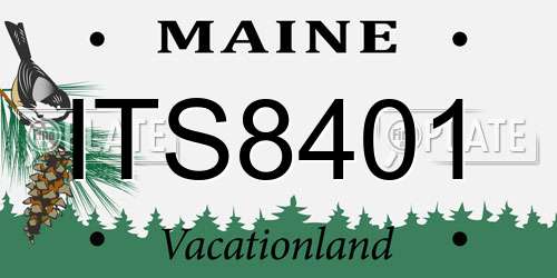 ITS8401 Maine License Plate