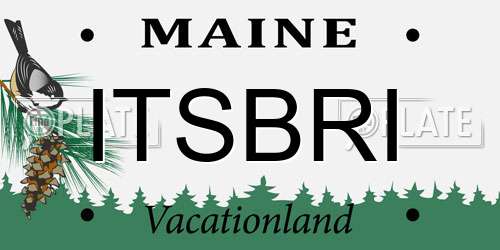 ITSBRI Maine License Plate