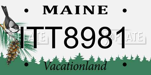 ITT8981 Maine License Plate