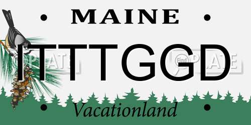 ITTTGGD Maine License Plate