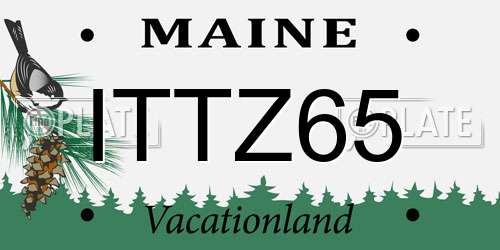 ITTZ65 Maine License Plate