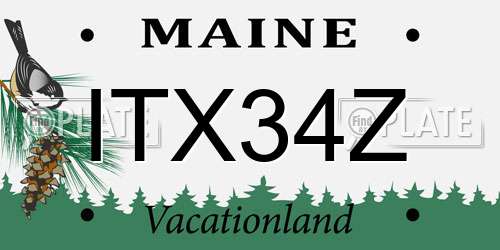 ITX34Z Maine License Plate