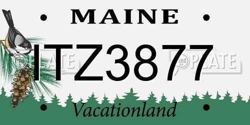 ITZ3877 Maine License Plate