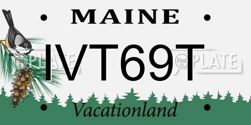 IVT69T Maine License Plate